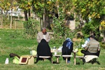Iranians love to picnick