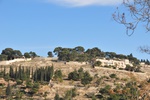 isr_2488.jpg