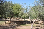 isr_2526.jpg