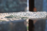 isr_2577.jpg