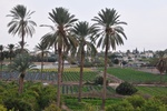 isr_2580.jpg