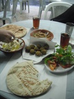 Amazing felafel