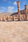 jor_2448.jpg