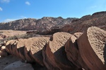 jor_2450.jpg