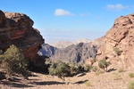 jor_2474.jpg