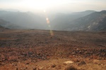 Dana nature reserve