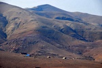 Bedouins