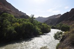 kaz_9542.jpg