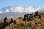 kaz_9566.jpg
