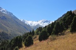 kaz_9573.jpg