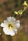 kaz_9584.jpg