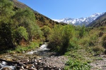 kaz_9607.jpg