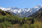 kaz_9608.jpg