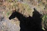 kaz_9610.jpg