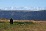 kaz_9656.jpg