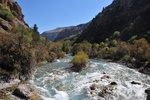 kaz_9671.jpg