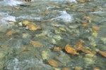 kaz_9675.jpg