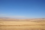 kaz_9685.jpg