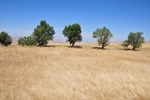 kaz_9689.jpg