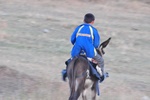 kaz_9700.jpg