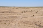 kaz_9726.jpg