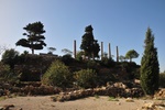 leb_1935.jpg