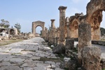 leb_1949.jpg