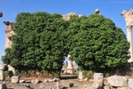 leb_1976.jpg
