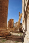 leb_2009.jpg