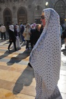 syr_1643.jpg