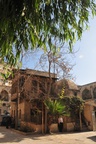 syr_1650.jpg