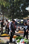 syr_1693.jpg