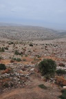 syr_1709.jpg