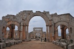 syr_1711.jpg