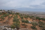 syr_1712.jpg