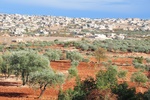 syr_1734.jpg