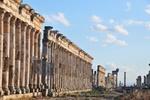 Aparnea