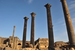 syr_2090.jpg