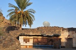 syr_2091.jpg