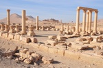Palmyra