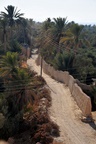 syr_2192.jpg