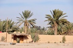 syr_2198.jpg