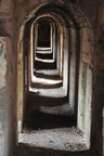 syr_2229.jpg