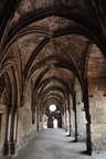 syr_2236.jpg