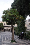 syr_2249.jpg