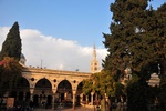 syr_2250.jpg