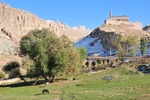 tur_0961.jpg