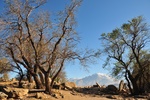 tur_0988.jpg