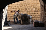 tur_1029.jpg