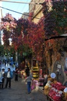 tur_1034.jpg